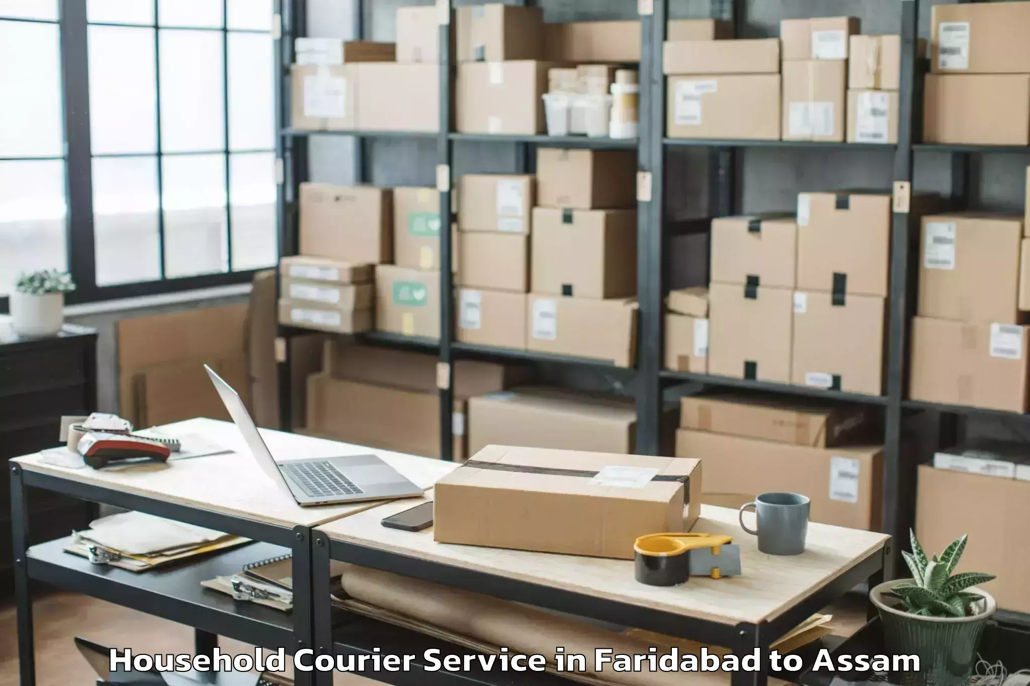 Professional Faridabad to Hajo Household Courier